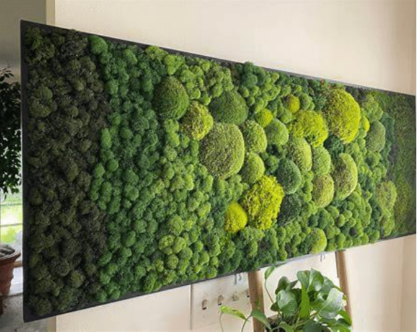 How To Make Moss Wall Art