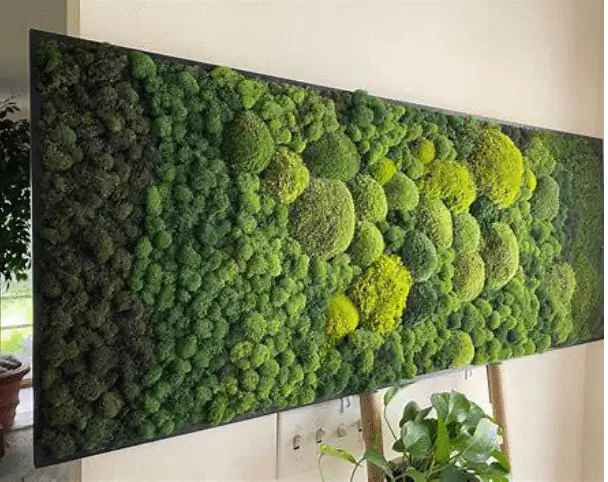 How To Make Moss Wall Art