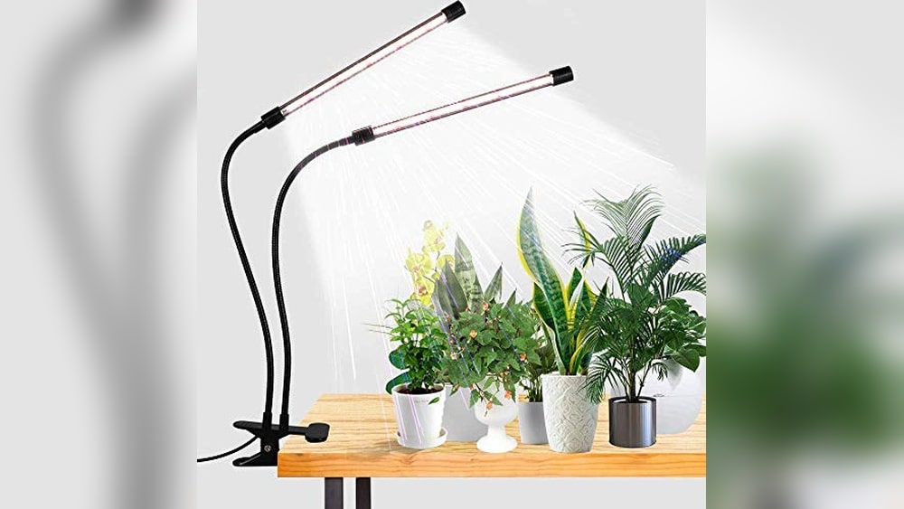 Best Grow Lights for Indoor Plants