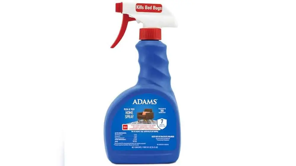 Best Flea Spray for Home And Furniture