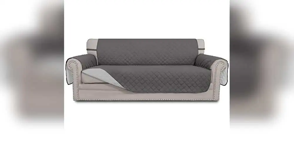 Best Furniture for Pet Owners