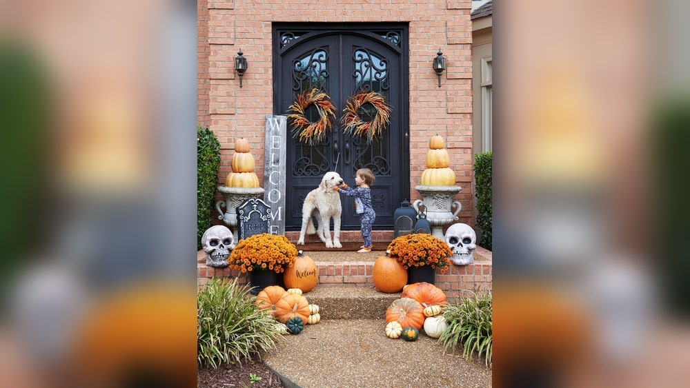When is the Best Time to Decorate for Halloween