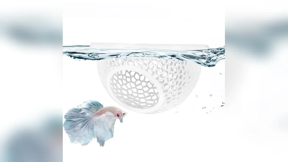 Best Rock Decor For Betta Fish