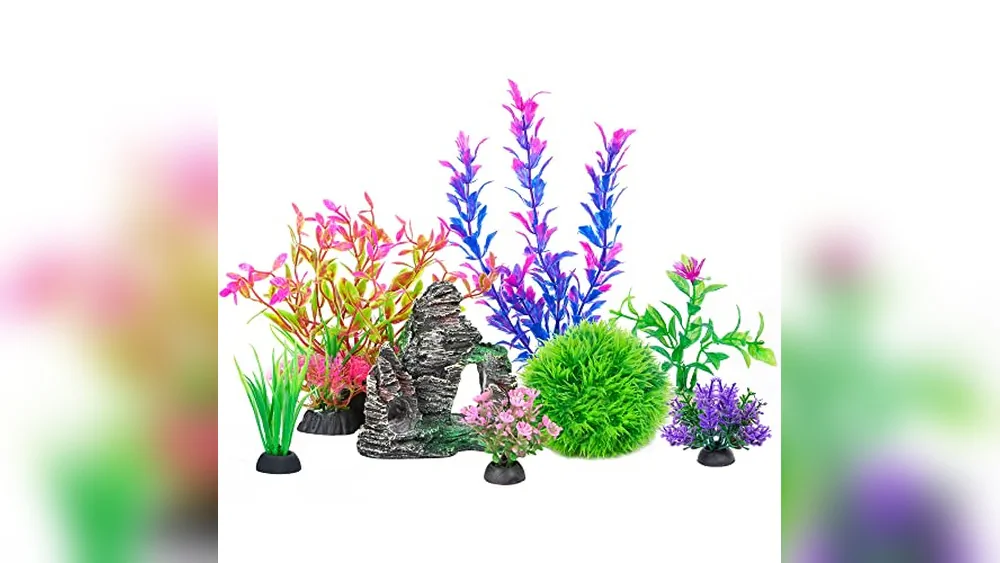 Best Decorations For Fish Tank