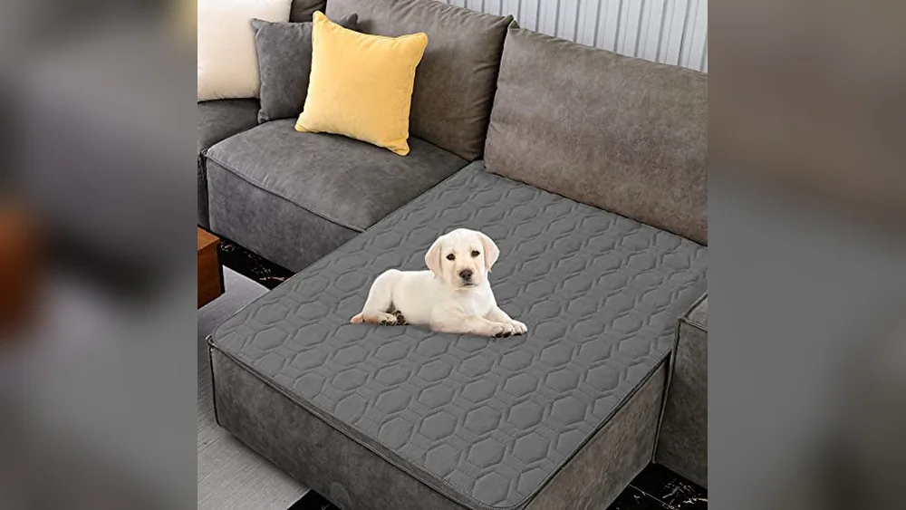 Best Furniture Material for Dogs