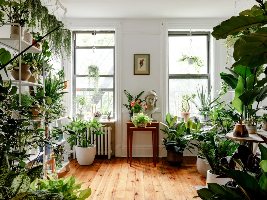Best Planters for Indoor Plants