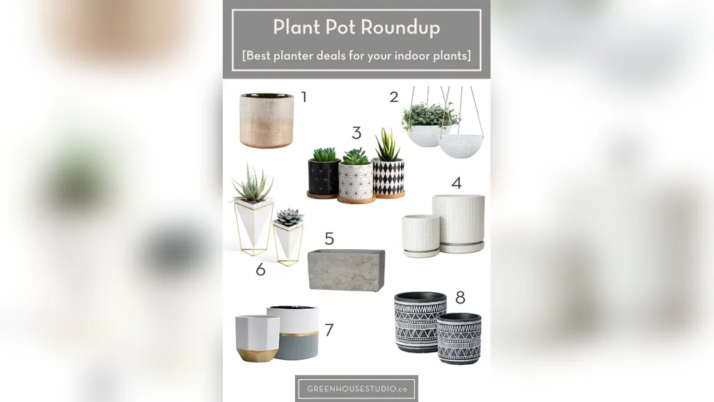 What are the Best Planters for Indoor Plants