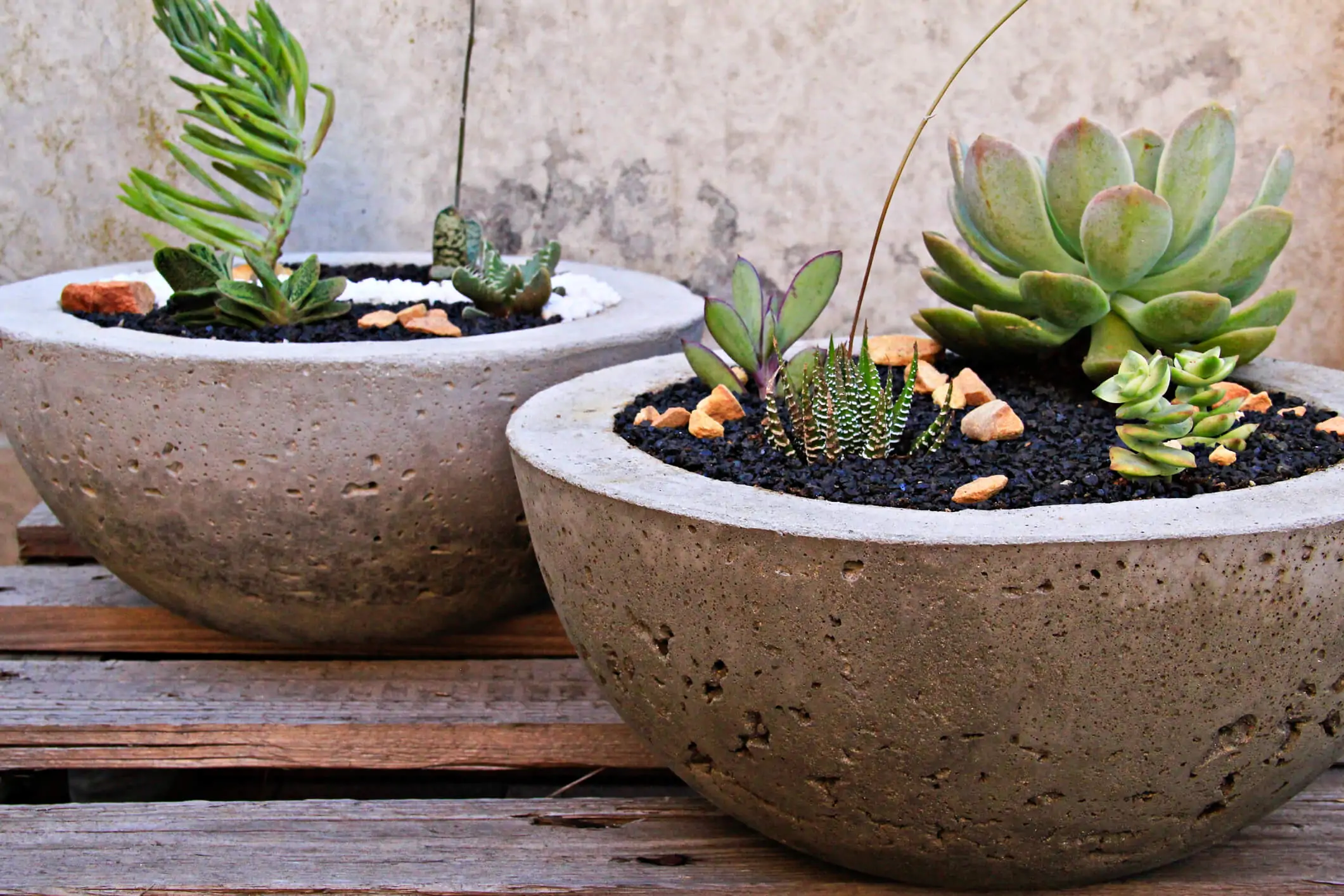 How to Make Cement Planters