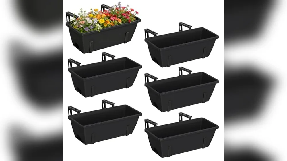 Best Plants for Deck Planters
