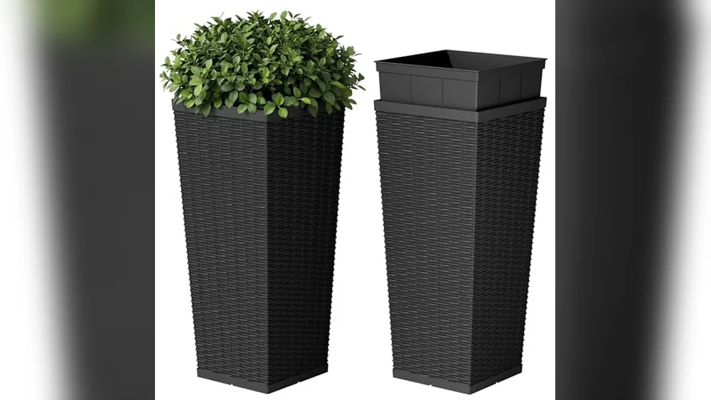 Best Plants For Porch Planters