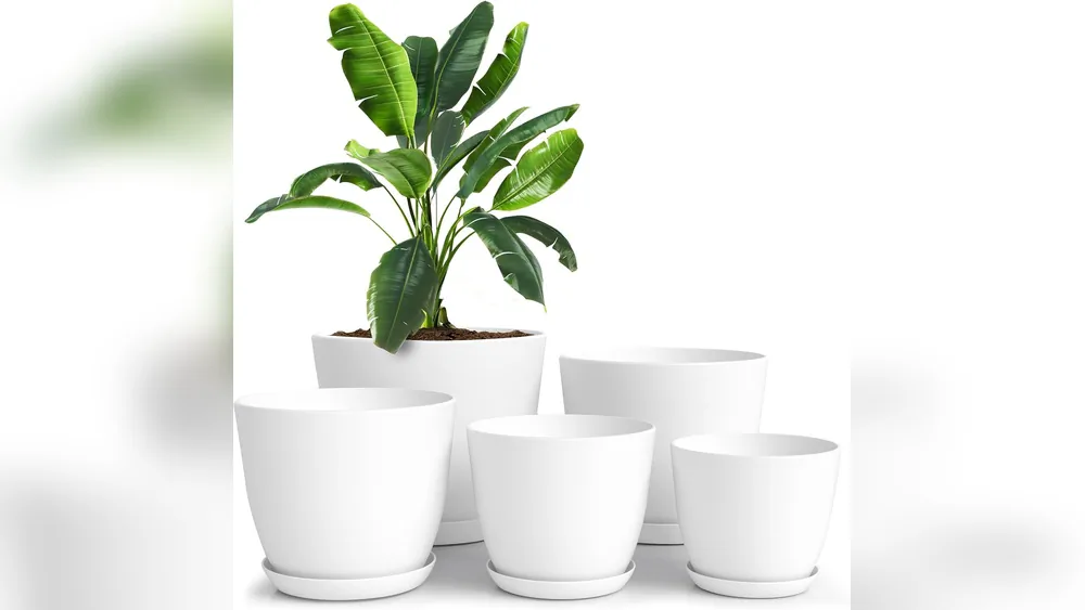 Best Indoor Planters for Houseplants