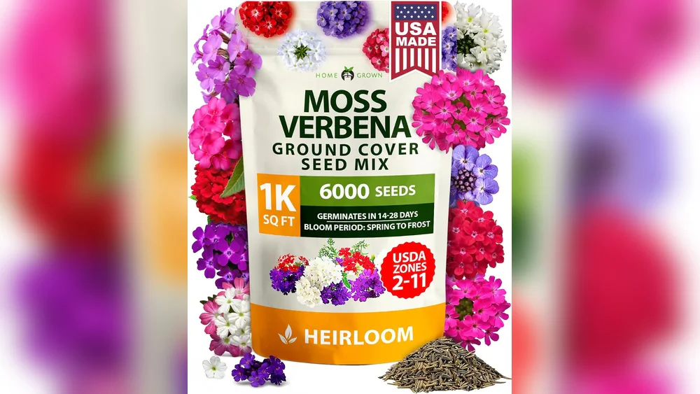Best Perennials for Planters