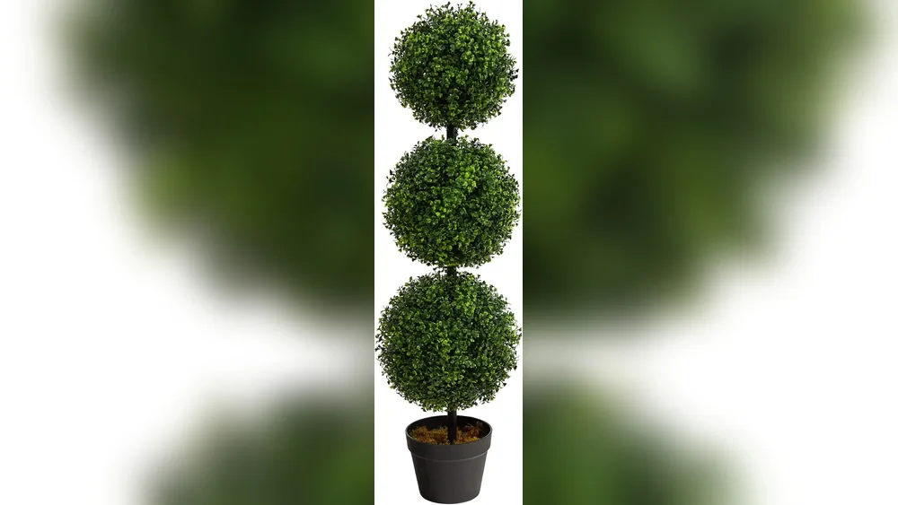 best Plants for Front Porch Planters
